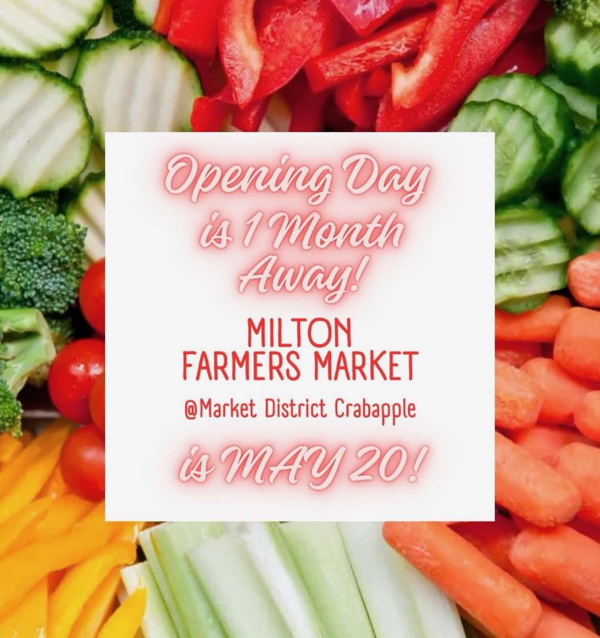 Milton Farmers Market - OPENING DAY!